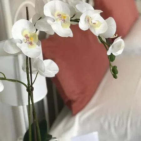 Il Tempio Di Athena - Cultura E Relax A Siracusa Guest house